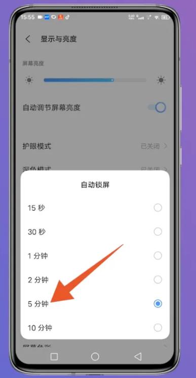 苹果平板怎么调亮屏时间缩略图