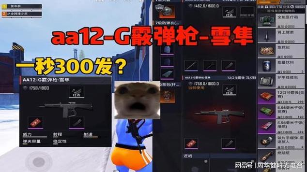 和平精英喷子AA12伤害缩略图