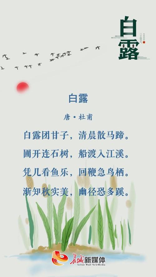 白鹭古诗图标