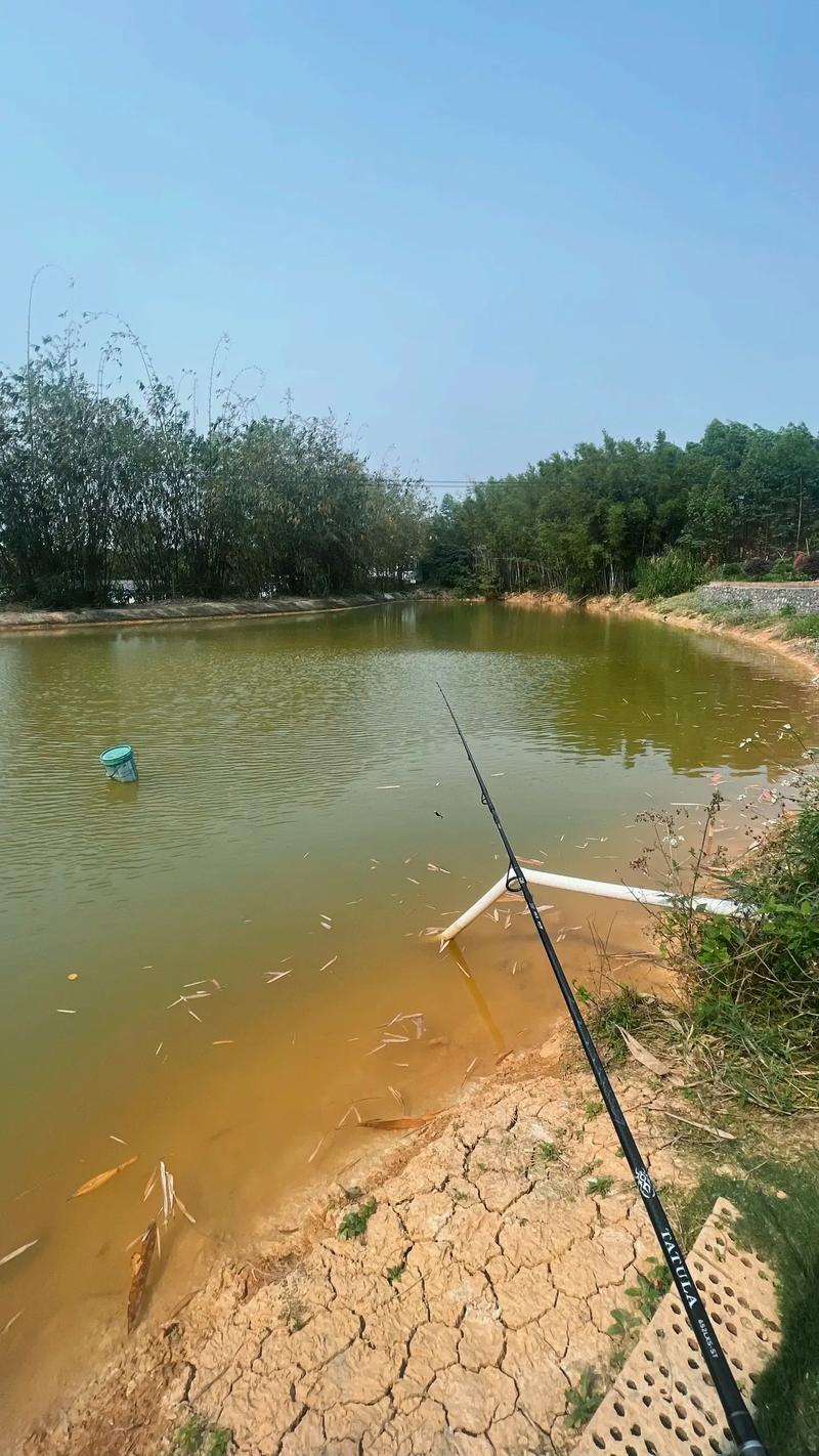 承包鱼塘钓鱼赚钱吗图标
