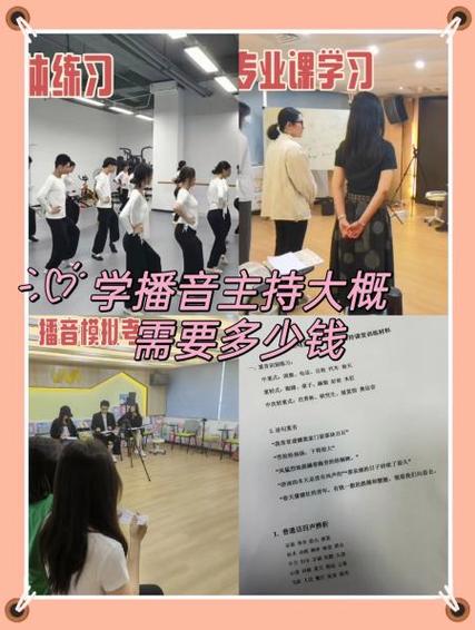 学播音主持一年大概要多少钱图标