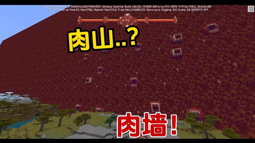 泰拉瑞亚肉山后会发生什么