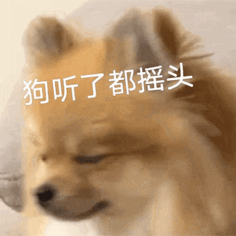 刘浩存左右摇头的gif表情包出处缩略图