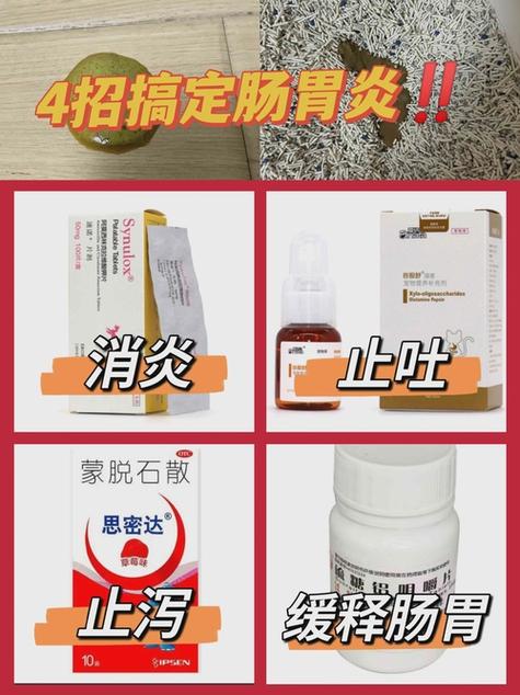 小猫肠胃炎吃什么药最有效缩略图