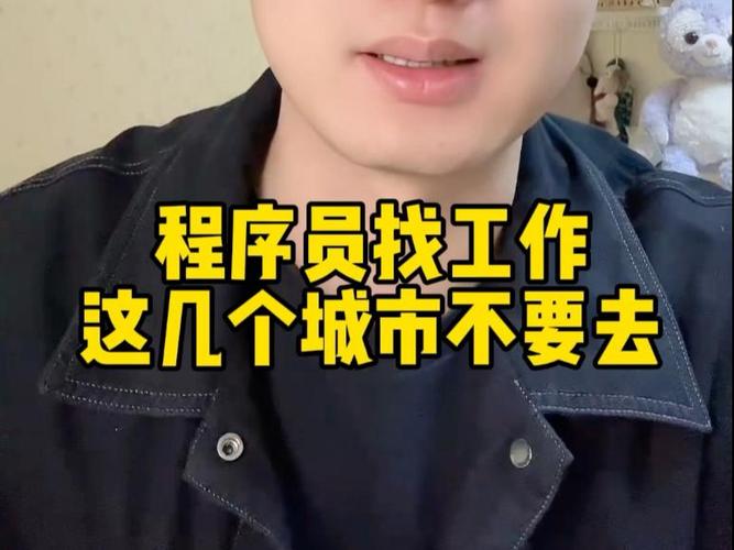 程序员一般去什么地方找工作游戏截图