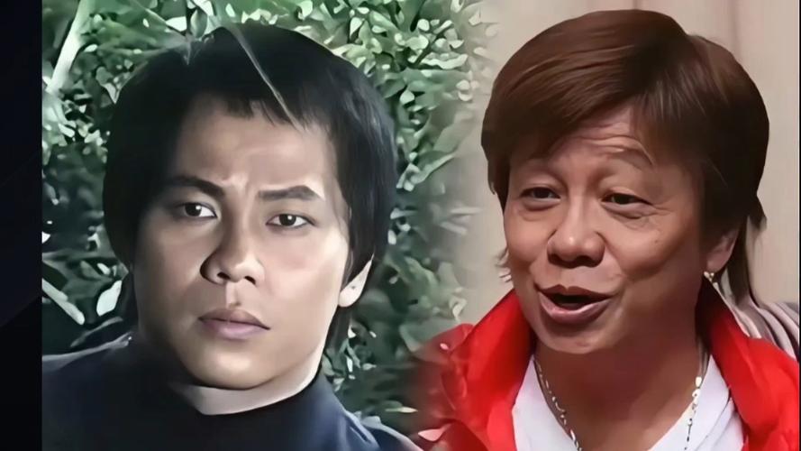 老版陈真第十三集梁小龙版缩略图