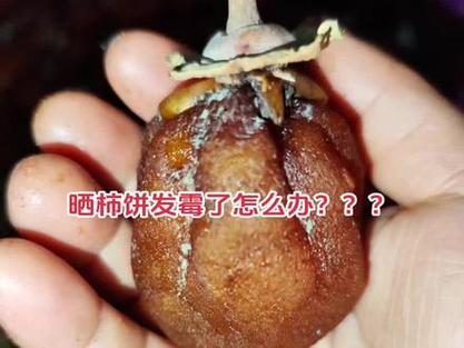 柿饼冷藏了6天了还能吃吗缩略图