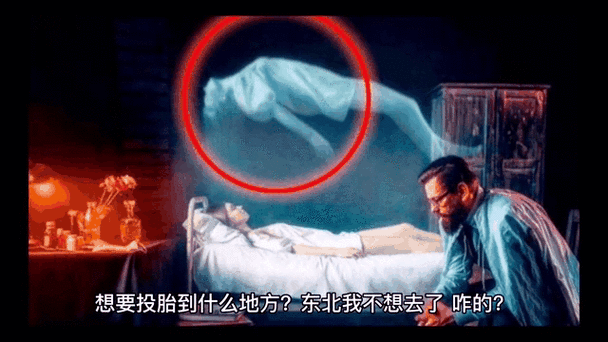 猫投胎转世成人缩略图