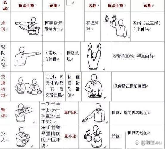 普通人怎么考排球裁判缩略图