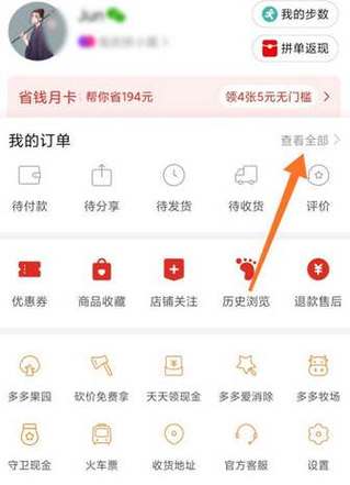 如何查看拼多多消费总额图标