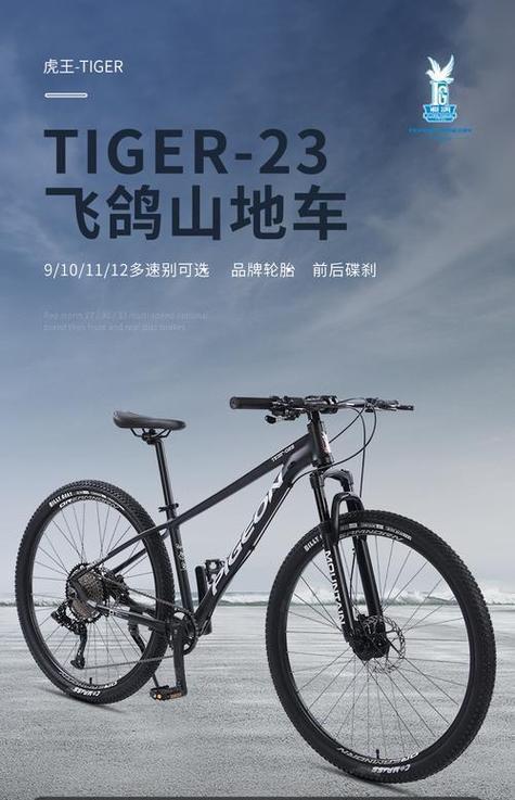 中国第一辆自行车的品牌叫什么名字图标