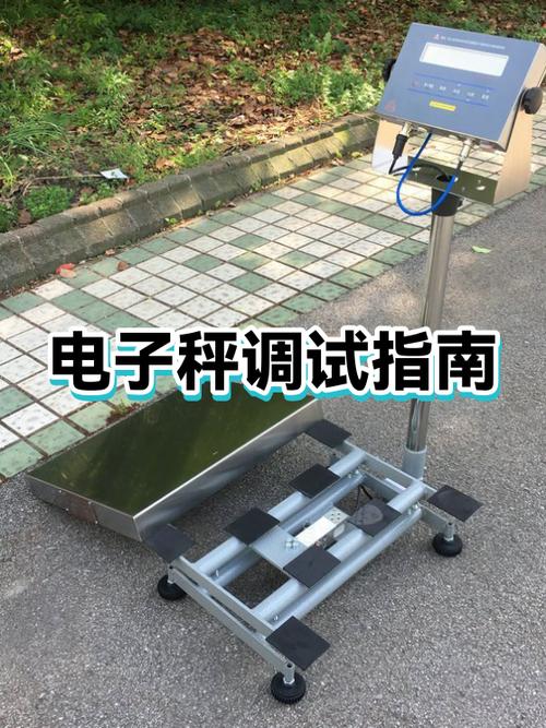 新买的电子秤怎么调试游戏截图