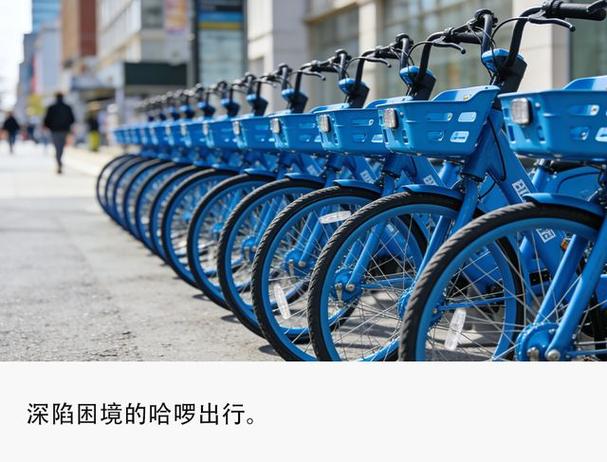 蓝色哈罗单车是24寸吗游戏截图
