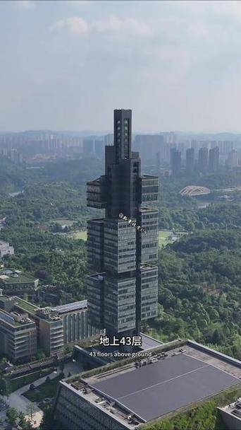 中天集团高层人员名单缩略图