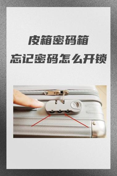 行李箱忘记了密码怎么办缩略图