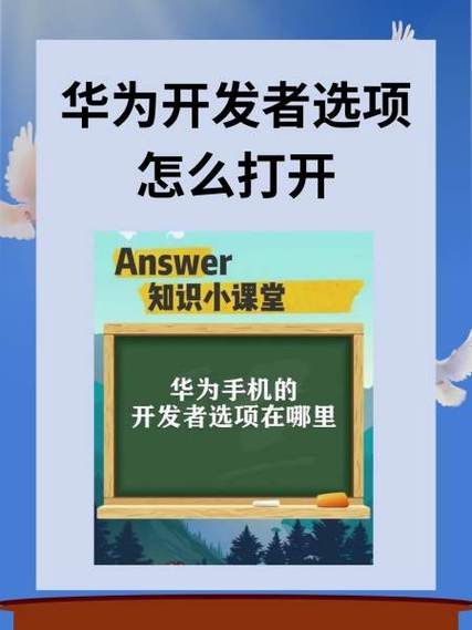 华为开发者选项无线调试图标