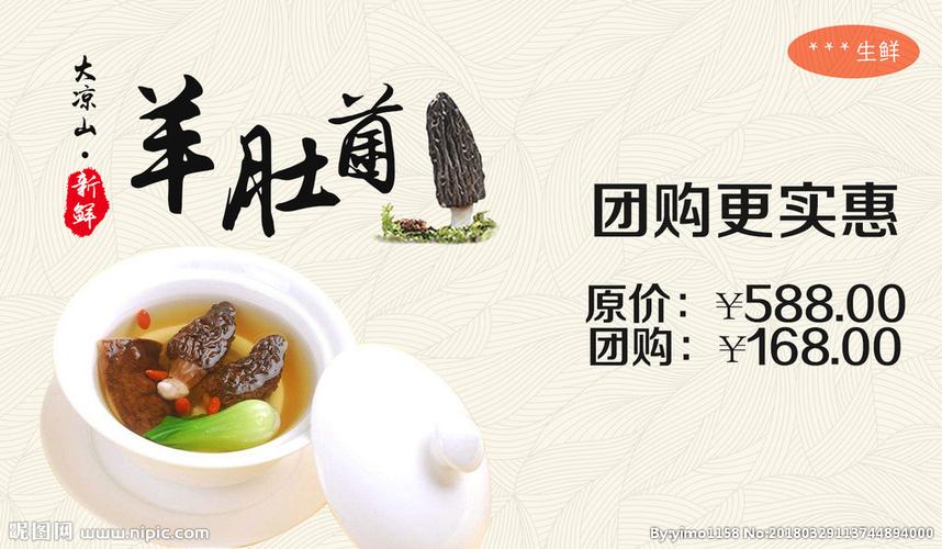 羊肚菌最火文案短句游戏截图