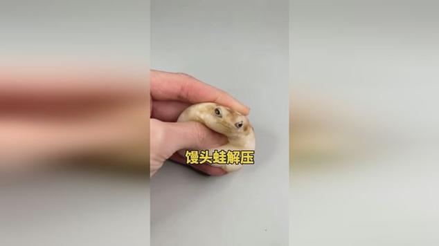 一只馒头蛙多少钱缩略图