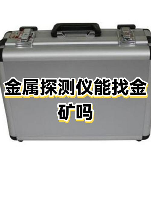 有探测黄金的仪器吗缩略图