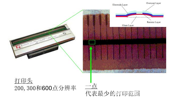 斑马打印机正在打印但是打不出来缩略图