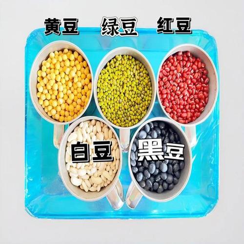 五色豆是阴气最重的东西吗游戏截图