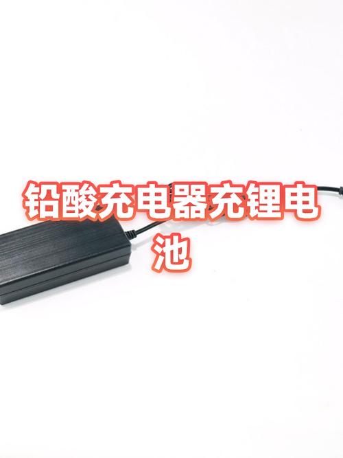 锂电池充电器可以充铅酸电池吗游戏截图