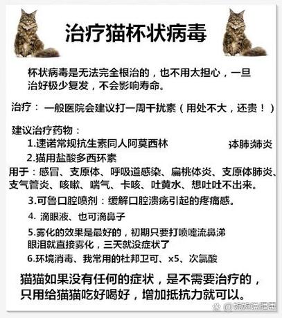 猫咪杯状病毒怎么治疗缩略图