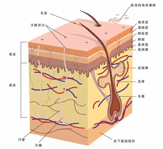 lol至臻皮肤哪个最值得游戏截图