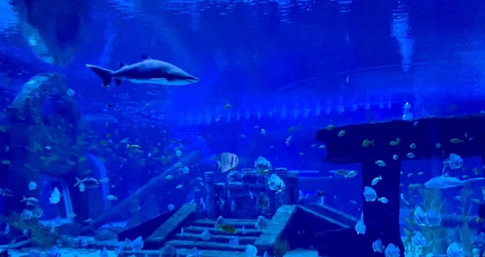 鱼乐园水族馆怎么样缩略图