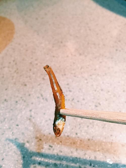饥荒联机版变质的小鱼缩略图