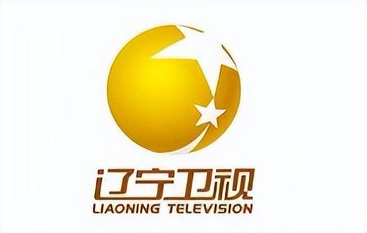 辽宁卫视第一时间央视网游戏截图
