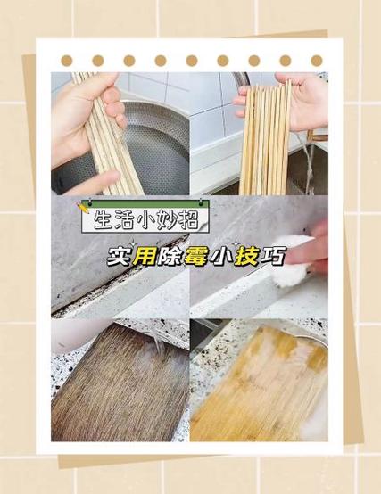 家里很久没住有霉味怎么办游戏截图