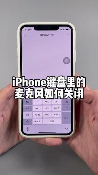 苹果手机左上角麦克风怎么关闭游戏截图