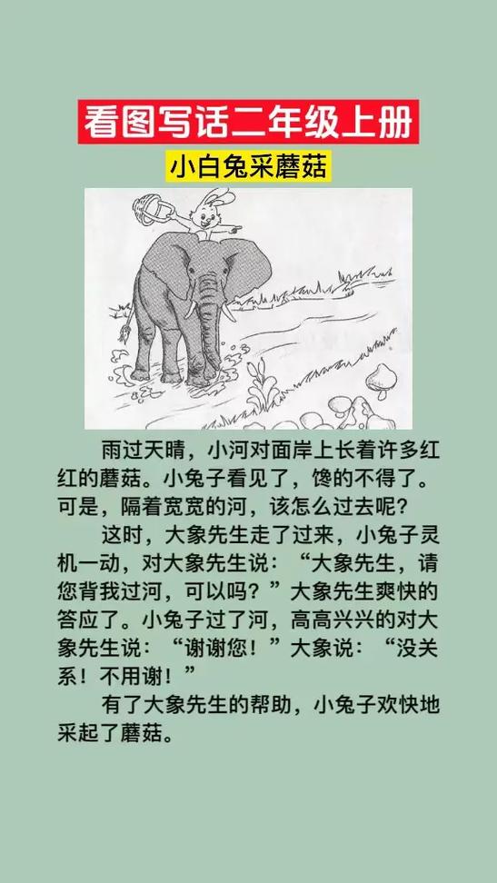大象背着兔子采蘑菇的写话看图写话缩略图