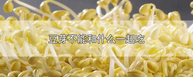 豆芽不能和什么一起吃图标