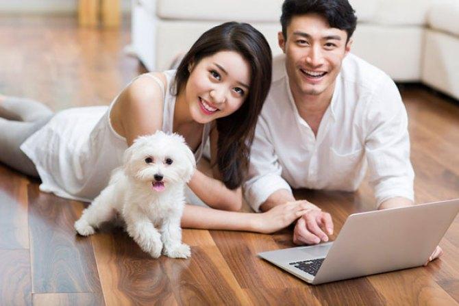 山东橙子情感挽回成功高吗图标