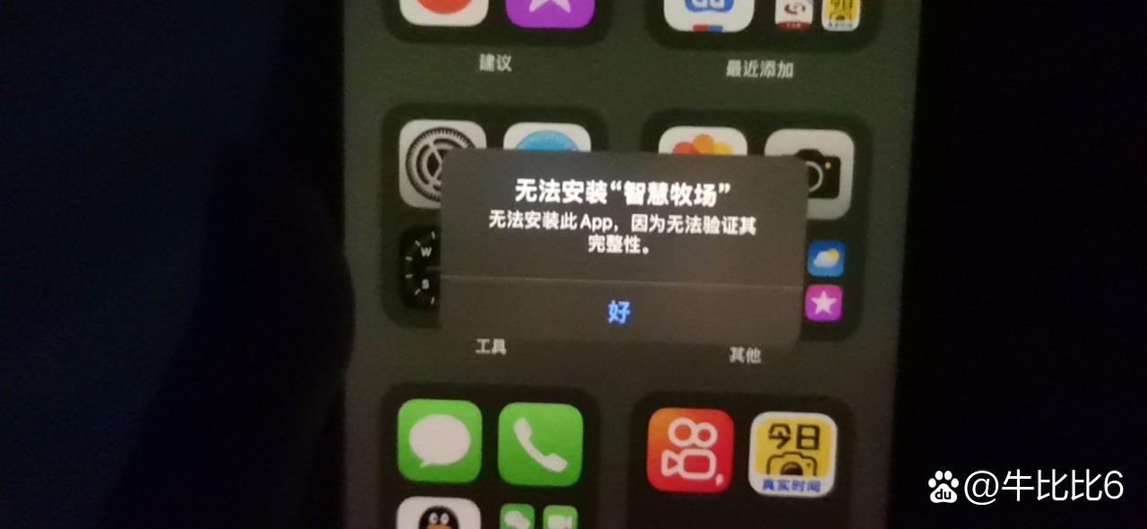 苹果11无法安装第三方软件缩略图