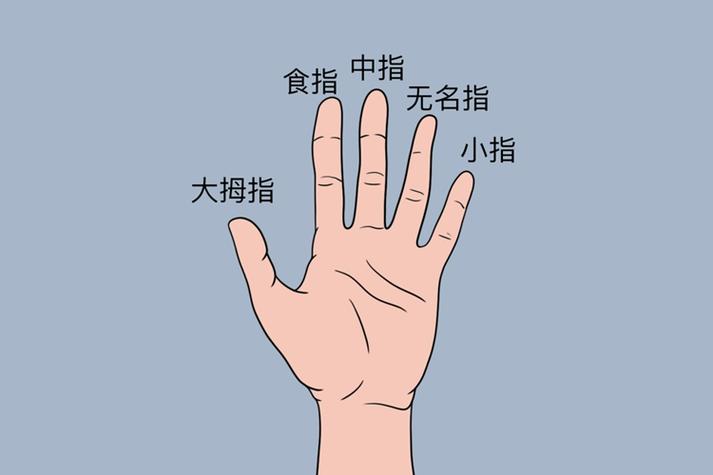 手指比中指是什么意思缩略图