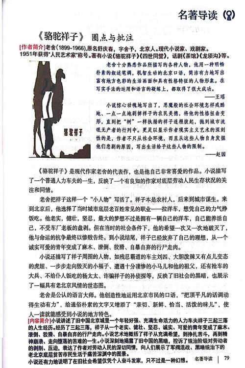 沙漠王子的高体最新章节更新游戏截图