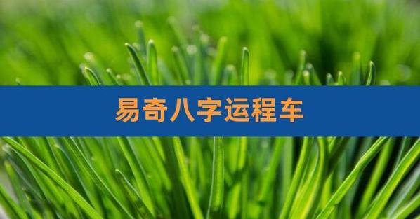 易奇八字免费测算2020运程车游戏截图