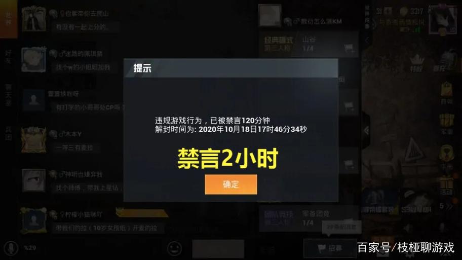 吃鸡把队友禁言了还能听见声音缩略图