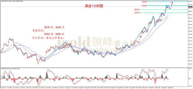 黄金20年后会被淘汰吗缩略图