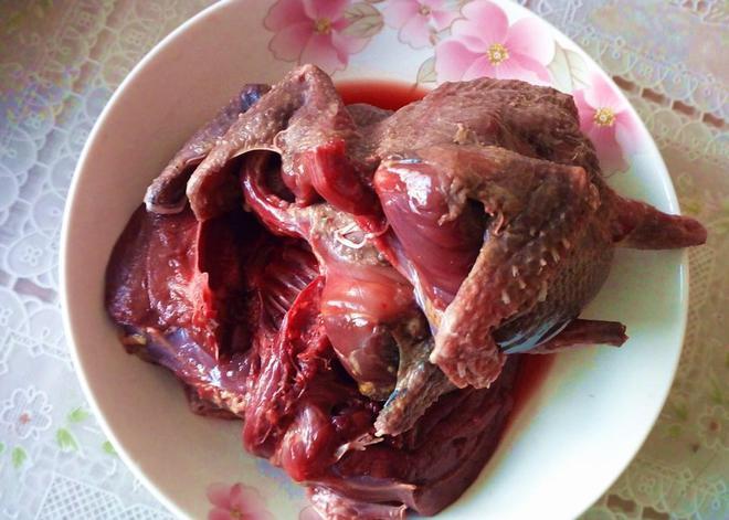斑鸠吃什么食物最好缩略图