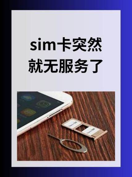 双卡手机有一个卡无服务怎么回事游戏截图