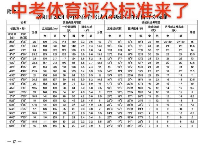 河南体考算分器图标