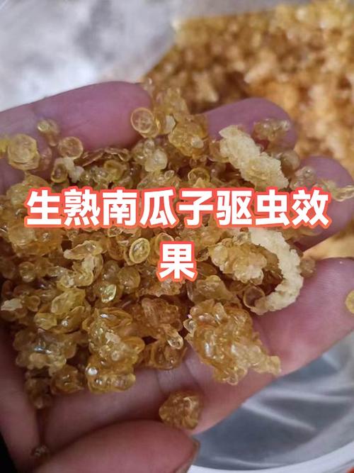 白瓜子尽量少吃的原因缩略图