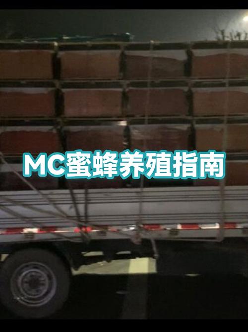 我的世界怎么让蜜蜂进入蜂巢缩略图