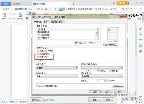 佳能彩色打印机如何设置黑白打印游戏截图