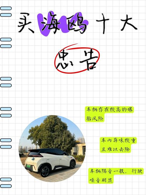 买海鸥十大忠告缩略图