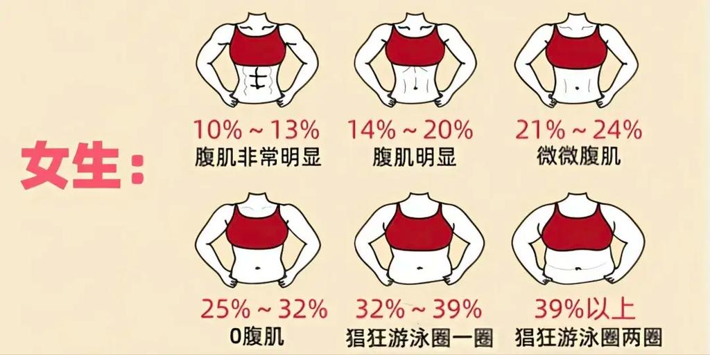 小米体重秤可以测体脂率吗缩略图